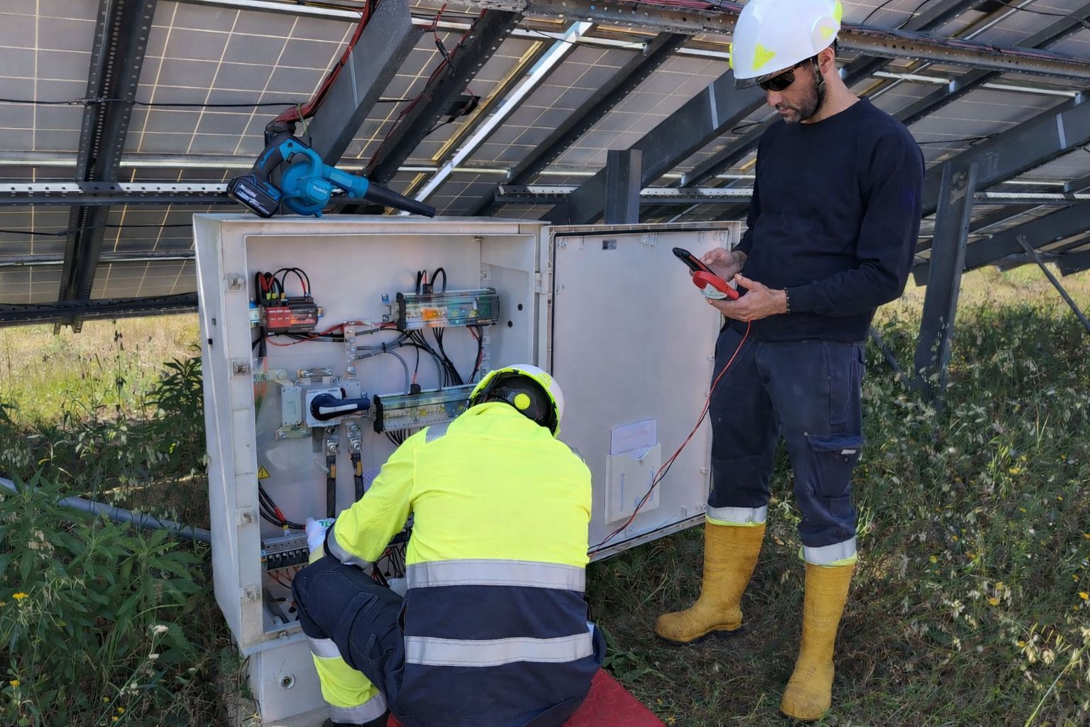 whatsapp image 2026 04 12 at 11.07.42